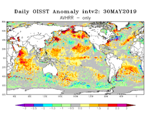 Figura 2: Desvio da temperatura da superfície dos oceanos em 30/05/2019. Imagem de outro site.